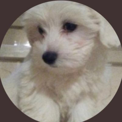 fan account