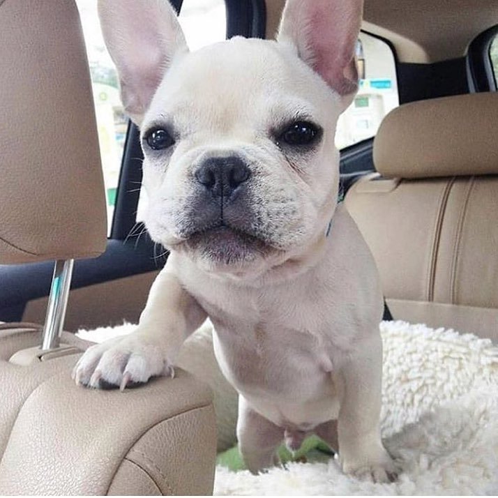 gilani_muzammil's profile picture. We are live long.