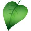 We are devoted to responsible and sustainable living. Check out our site and start living green now!