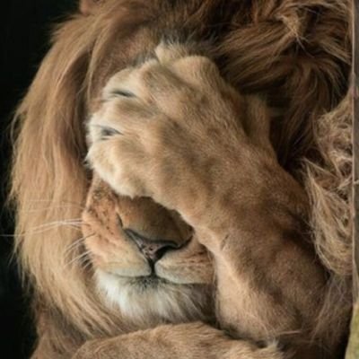 LeoReigate's profile picture. Male. Married.