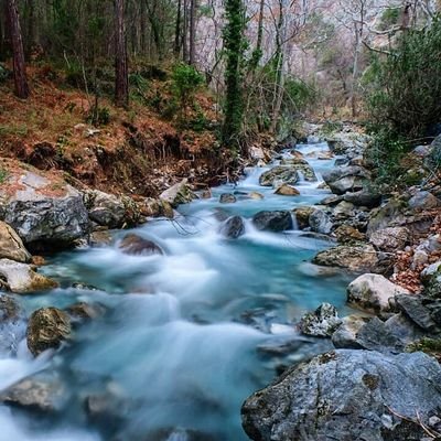 kutsacumartesi's profile picture. 