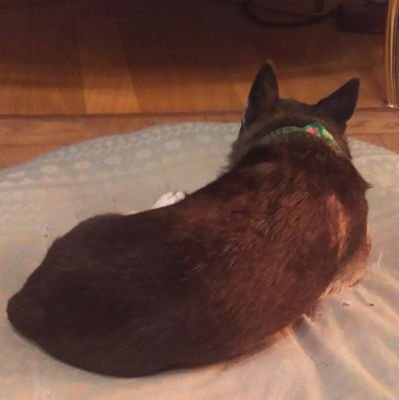 ぷちぐるラブライブやってます。
ぷちぐる友達募集してます。
よろしくお願いします。
あとラブライブ好きとラブライバー募集してます。あとスクフェス好きな人とも繋がりたいです。
あとカラオケオフ会の主催してます。
名駅と金山で。