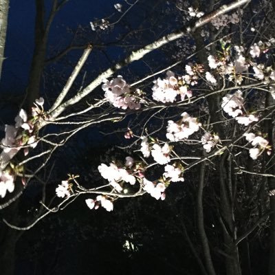 大原櫻子ちゃん応援中!さくちゃんファンを勝手にフォローさせていただいています。無言フォローすみません。
リトグリも応援中。