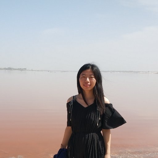 JinyanZJY's profile picture. Associate Professor, China-Africa researcher, Shanghai International Studies University