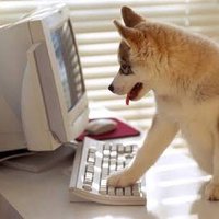 Dilo con perritos (@diloconperritos) 's Twitter Profile Photo Dilo con perritos (@diloconperritos) 's Twitter Profile Photo