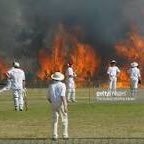 glynleyshon's profile picture. Social justice advocate and supporter of public education.