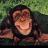thedonsta78's profile image