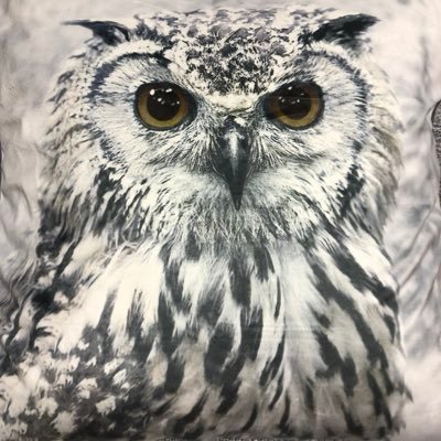 Risakoさんのプロフィール画像