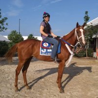 Joanne shankle (@joanne_shankle) 's Twitter Profile