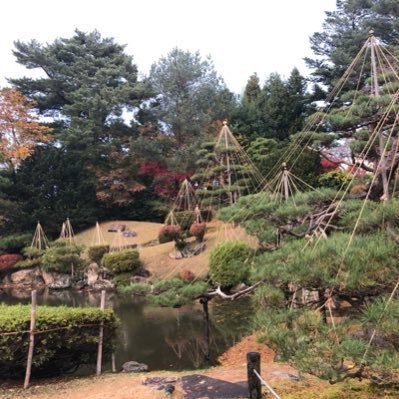 夢坂さんのプロフィール画像