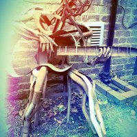 Paul Fitz #MDANT (@nothingvillem) 's Twitter Profile
