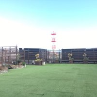 やーぴー💫 (@niki_py_mari) 's Twitter Profile