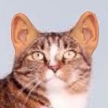 i like dogs and cats. also like metal music and comic books. wassup
