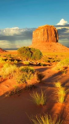 14RDzXlvEHFZC66's profile picture. 