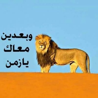 CFEm4KUi3O4gLPe's profile picture. ‏احب الفرح