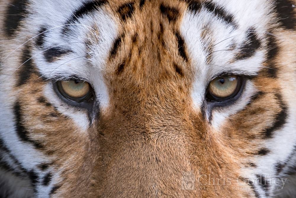 twinkies724's profile picture. Excited about new music, art, space, interior design, and travel.😀