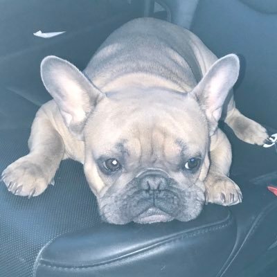 mariapavlopoul2's profile picture. 