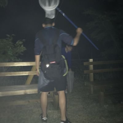 シロさんのプロフィール画像