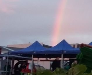 Whangarei Growers Market is on every Saturday 6am to 10am, rain, hail or shine, Water St carpark. This Twitter is a feed from the Facebook page.