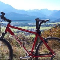 bianchi (@bianchiinfinito) 's Twitter Profile