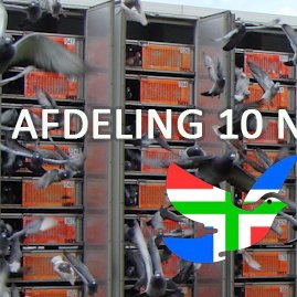Afdeling 10 Noord-Oost Nederland (@10Oost) / Twitter