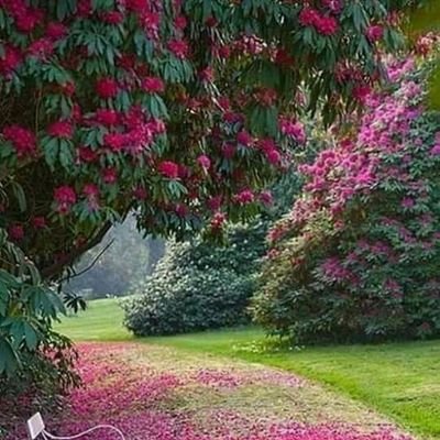 k2vCBkX3ZZxdD17's profile picture. 