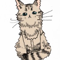 みうらぁー! (@rumru_) 's Twitter Profile Photo みうらぁー! (@rumru_) 's Twitter Profile Photo