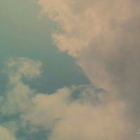 Bambi (@bambi20429724) 's Twitter Profile