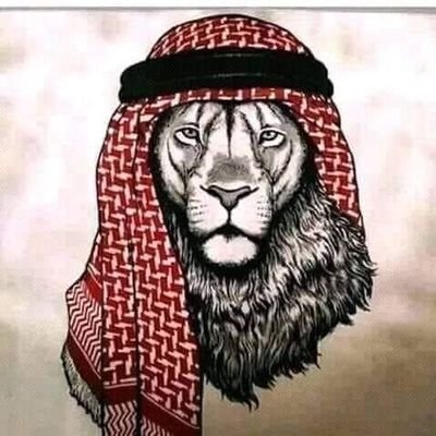 AaronDAdikaba's profile picture. Don't text me, I'm addictive.