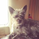 John Self - @JohnSel47484630 - Twitter