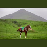 كأس العالم 2030 (@mubrak600) Twitter profile photo