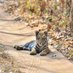 Chaitanya J Belsare (@insecurtycomplx) Twitter profile photo Chaitanya J Belsare (@insecurtycomplx) Twitter profile photo