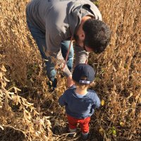 Grover Grain and Seed (@grain_and) 's Twitter Profile