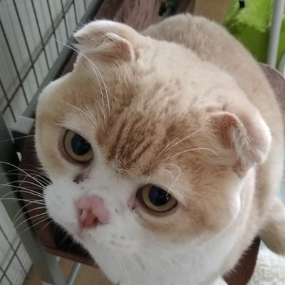 弱者男性・無職