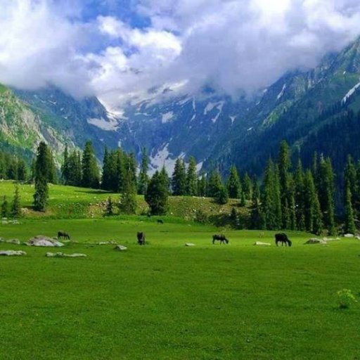 Kumrat Valley is one of the most beautiful place for tourism.