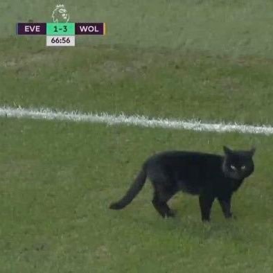 _______jasmin's profile picture. 