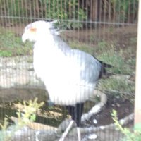歩くプルトニウム情報屋 #フォロー #相互フォロー #生活 #ライフ支援 (@pulutonium) 's Twitter Profile
