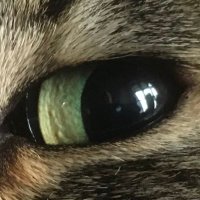 Charles Macmillan (@cmacm) 's Twitter Profile