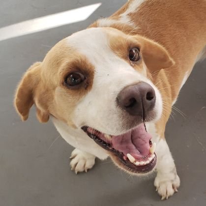 atcasanova's profile picture. No Orkut eu era 100% sexy