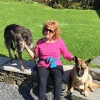 angieabbott (@angieab23724184) 's Twitter Profile