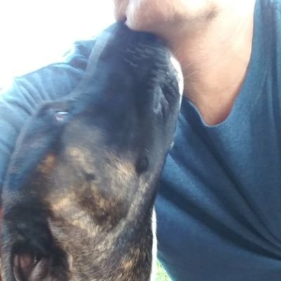 RobWell44's profile picture. consumer of punditry