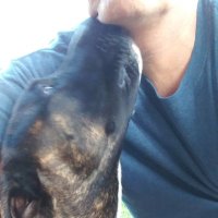 Robbie Octagon (@robwell44) 's Twitter Profile