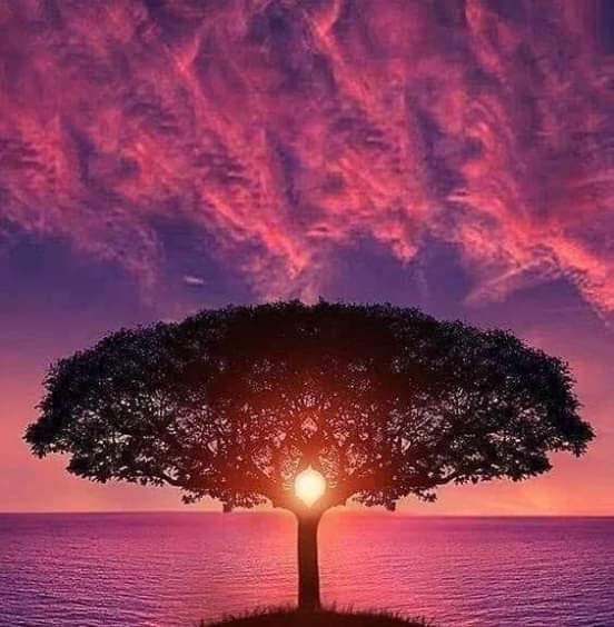 EthullaS's profile picture. 1 & Only Ethulla