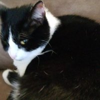 ElijahcusRex (@elijah70430907) 's Twitter Profile