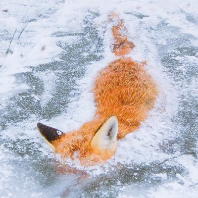 pcs_4822's profile picture. 