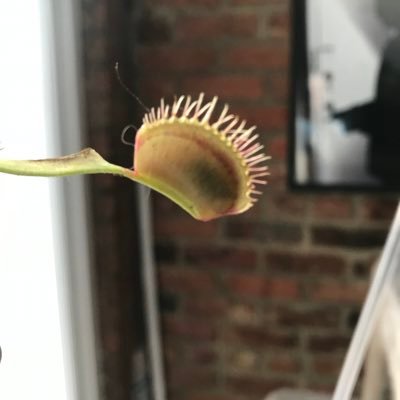 c0ldgirl's profile picture. 