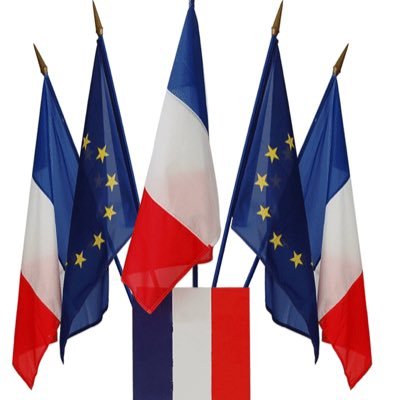 Contre le dénigrement permanent de la France et les arguments fallacieux démagos. Contre la désinformation. Anti FI/RN/Z .Gilet pas jaune.