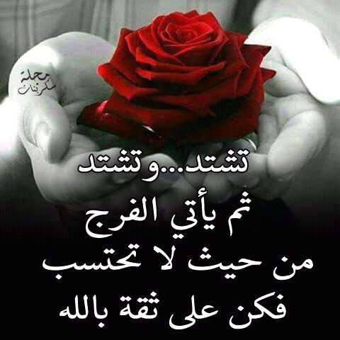 shiwma10's profile picture. احفظ الله يحفظك