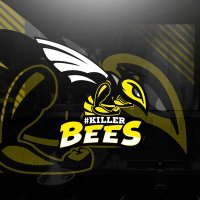 #KillerBees (@crm_esports) 's Twitter Profile