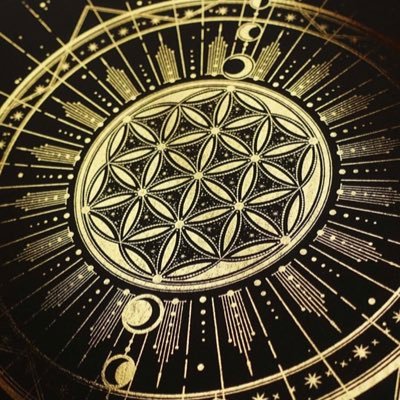 strongerli Profile Picture
